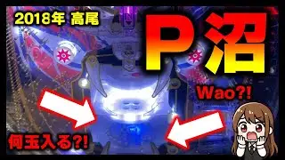 【権利物】P沼ではずれ穴を塞ぎ風のバリアを攻略してきた
