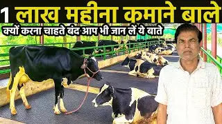 Dairy farm envestment cost in india॥Dairy farming business plan॥dairy farming