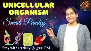 Unicellular Organisms | Single Celled Organisms Smriti Pandey | Bear and Berry