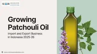 Growing Patchouli Oil Import & Export Business in Indonesia 2025