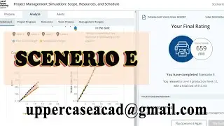 Project Management Simulation: Scope, Resources, and Schedule (SCENARIO E)
