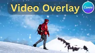 How to add Video Overlay in Canva Tutorial