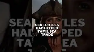 Interesting Facts About Tamil | Tamil Language | Tamil History | Infodian | #shorts