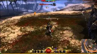Guild Wars 2 - Skill Point in Tarnished Coast