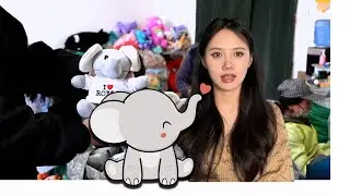 3,000 elephant plush toys are completed for the client#dog toys OEM