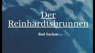 Der Reinhardtsbrunnen | Bad Sachsa | Kuckanstal | Wasserquellen im Harz 💧 💦