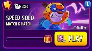 Match Masters / Speed Solo / Match & Hatch 750 / Square matches are possible 