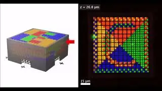 Multimaterial 3D laser microprinting using an integrated microfluidic system
