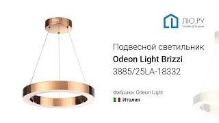 Видео обзор на подвесной светильник Brizzi 3885/25LA (Odeon Light)