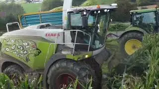 Claas jaguar 950