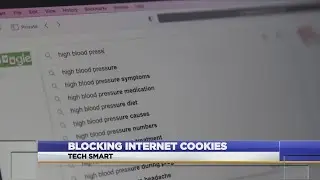 Blocking internet cookies