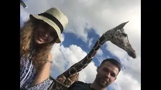 Сафари на Филиппинах. Жирафы. Calauit island