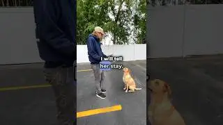 How to train your dog the 'Release Command' with Kurt, our expert dog trainer at Dan&rsquo;s Pet Care. ✋🐕