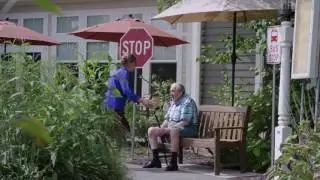 The Bus Stop to Nowhere