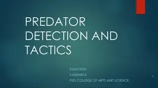 Predator Detection and Tactics In Animal Behaviour