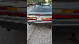 Holley Terminator X testing 86 Mustang GT #automobile #cammed #cartok #foxbody #racing #fordmustang