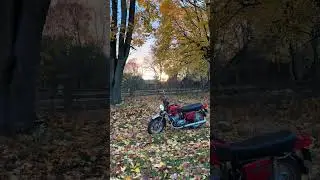 Иж Юпитер #мото #рек #иж350 #мотоманьяк #реки #bikelife