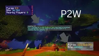 Pay 2 Win??? - Hypixel Skyblock