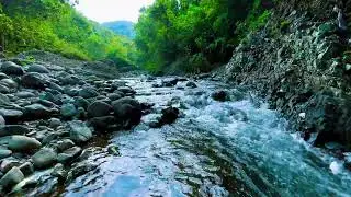 Soft Space for Quiet Grief: River Ambience to Sit With What Hurts
