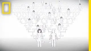 Beyond Genealogy | National Geographic