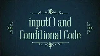 Python Tutorial for Beginners - [Complete] #5 Input Function and if elif else Python (2020)