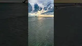 nature video templates free downloadnature background video effects hd free download