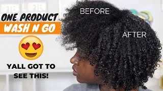 1 Product Wash n Go | Natural Hair