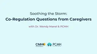 Soothing the Storm: Co-Regulation Questions from Caregivers
