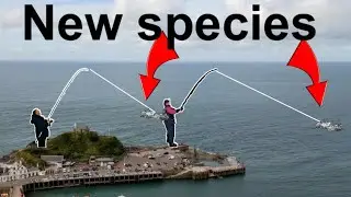 I Found a Species I’ve NEVER Seen Before! (The Great Trip)