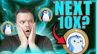 Pudgy Penguins Just SHOCKED the Entire Market (PENGU Coin Update)