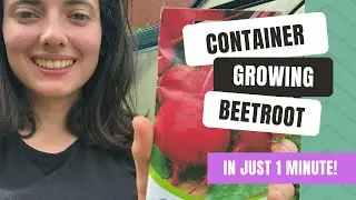 How To Grow Tasty Beetroot In Containers
