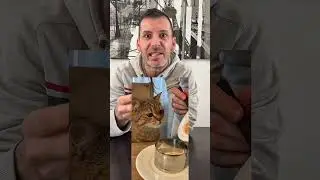 Recette p&acirc;t&eacute;e maison chat !