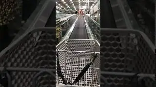Riding the Shopping Cart Escalator at Menards
