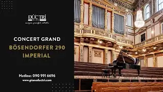 Bosendorfer - Concert Grand 290 imperial - Piano Đức Tr&iacute;