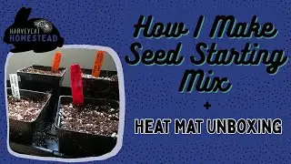Seed Starting Onion Edition