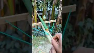 bamboo creations with powerful arrow gun #bamboo #diy #toys #craft