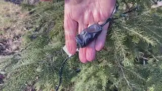 Mr. Fix It: Christmas decoration housekeeping