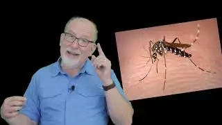 SHORTCLIPS &ldquo;WHY DID GOD MAKE MOSQUITOS?&rdquo;
