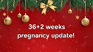 36+2 Days Pregnant! High Risk! Update & Ramble! 