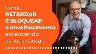 Como Retardar e Bloquear o Envelhecimento Entendo as suas Causas