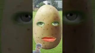 tamatar #codai #ffony कोमडी YouTube #soty#vayral #vidio