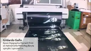GILDARDO GALLO - LARGE FORMAT EPSON DIGIGRAPHIE PIGMENT PRINT