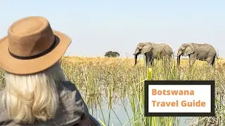 The Ultimate Botswana Travel Guide 🐘 🦁 🦒