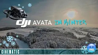DJI AVATA - Winter Wonder Land 4K Cinematic  | #Digital-FPV.de