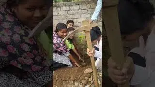 Environment day #environmental #rakchabandhan #new #dps #song #love #music #song