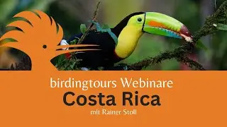 birdingtours Webinare - Costa Ricas Vogelwelt
