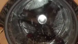 LG washer on delicates cycle