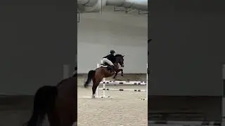 WEC Day 2 #fyp #equestrain #worldequestraincenter #jumpers