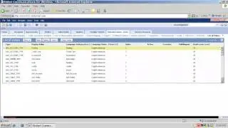 Siebel CRM - Project 2 (part1) (Easy LOV Import)