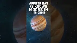 Jupiter Has 79 Moons, and You've Never Heard of Them!#shorts #spacefacts #science